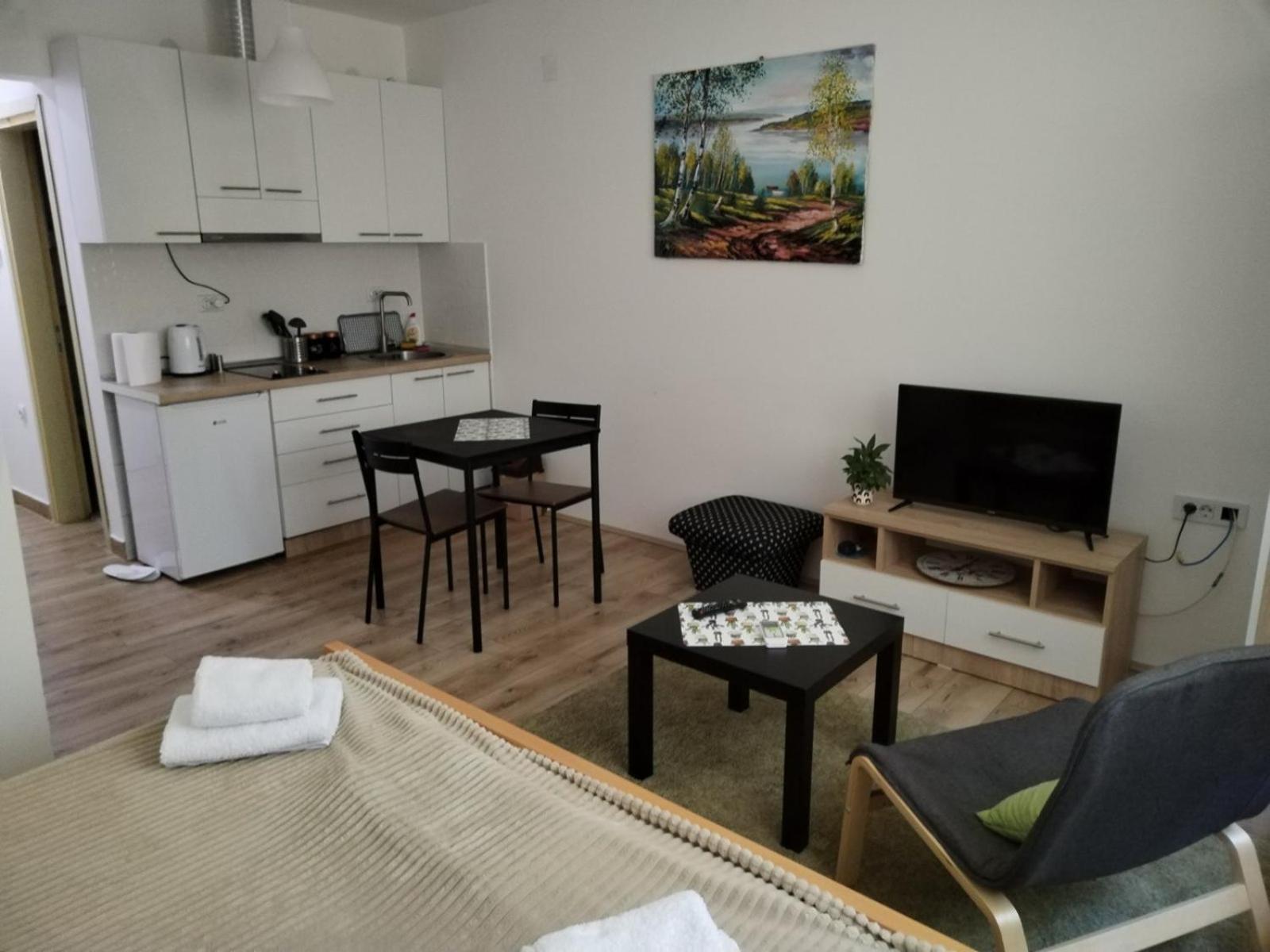 V & V Studio Apartments Ni Værelse billede